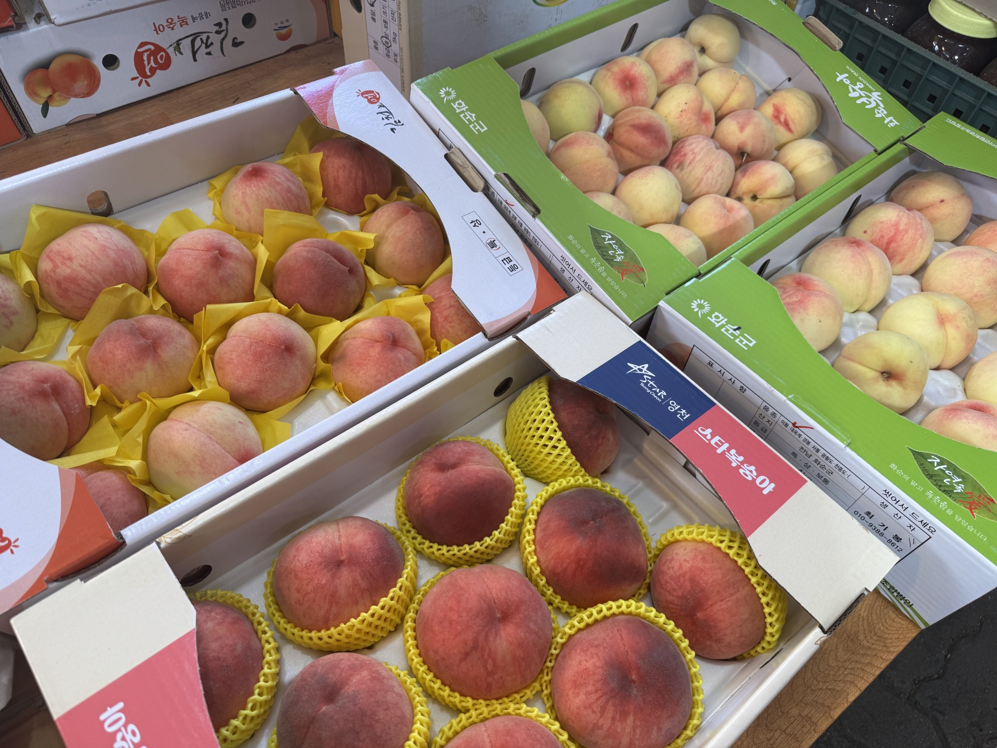 화순청과에서 고른 제철과일